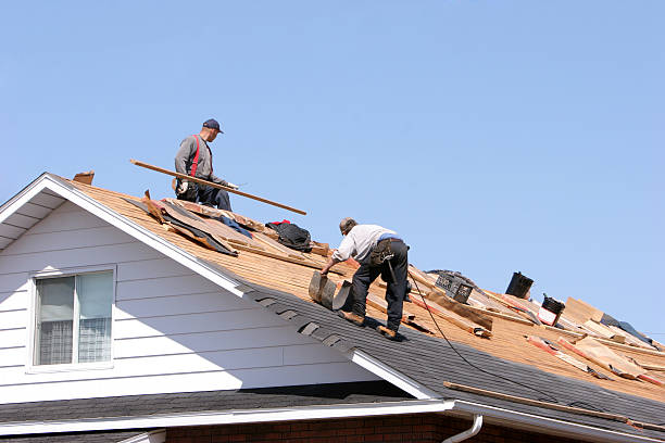 Best Roof Ventilation Installation  in Panorama Village, TX