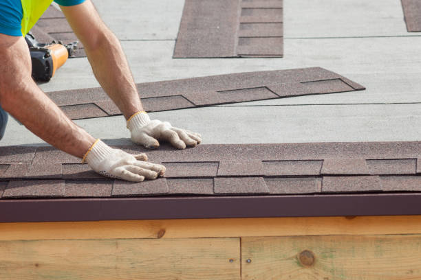 Best Solar Panel Roofing Installation  in Panorama Village, TX